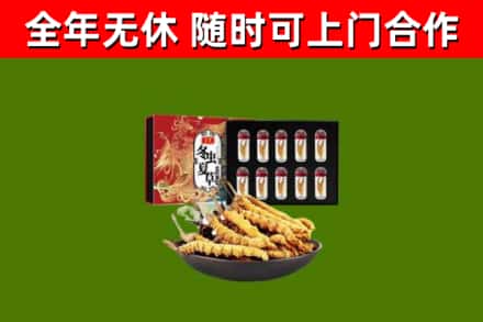 常山回收冬虫夏草价格